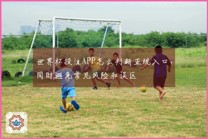 世界杯投注APP怎么判断正规入口,同时避免常见风险和误区